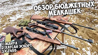 Пробуем бюджетные мелкашки МАНУЛ, ХАТСАН ЭСКОРТ и ЧиЗет