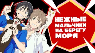 「EvilZor」Незнакомец На Берегу Моря / Umibe no Etranger / Обзор Аниме