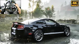 Ford Shelby GT500 | Forza Horizon 5 | Logitech g29 gameplay