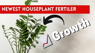 Fluval Stratum For Houseplants. How To Use Stratum When Potting Plants. Why Does It Work SO Well.