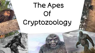 The Apes Of Cryptozoology