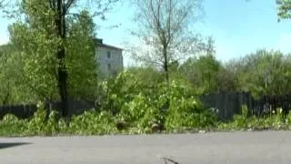 Последствия ураганного ветра в Нелидово.