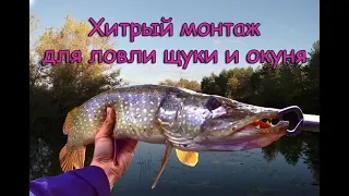 Хитрый монтаж для ловли щуки и окуня