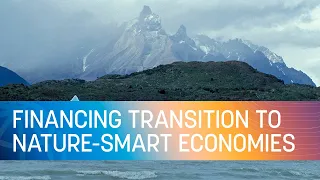 COP27 | Financing Transition to Nature-Smart Economies