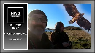 MULL 2022 - DAY 3 - Short Eared Owls - Wildlife Photography - Vlog #130