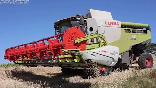 Claas Lexion 760 Montana + Cerio 930 [Az. Agr. F.lli Bianchini-Harvest Season 2017]