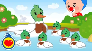 Five Little Ducks 🦆| Playful Learning | ♫ Plim Plim | Pre-K Nursery Rhymes