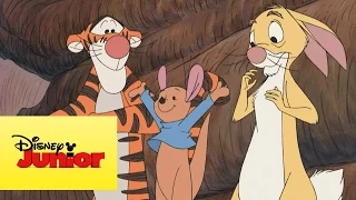 Mini aventuras de Winnie the Pooh - La fiesta de Piglet