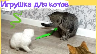 Интерактивная змея. Игрушка для котов.