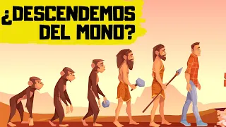 🐒TEORÍA de la EVOLUCIÓN de DARWIN |✅ EXPLICACIÓN RÁPIDA y SENCILLA