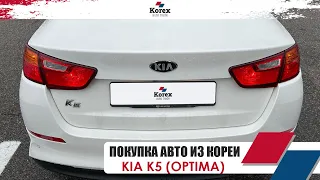 Осмотр Kia K5 в Корее!Авто под ключ из Южной Кореи.KOREX AUTOTRADE