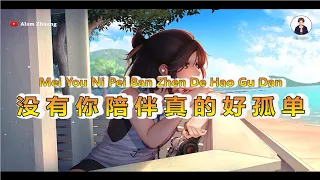 Mei You Ni De Pei Ban Wo Zhen De Hao Gu Dan ( 没有你陪伴真的好孤单 ) - Karaoke