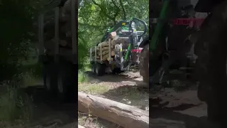 Forestry Ash Extraction #tractor #forestry #valtra