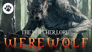 What are Werewolves? The Witcher 3 Lore - Werewolves