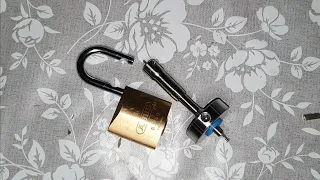 [20] Abus Plus 89/40 Picked on the Butterfly
