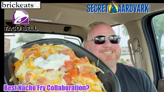 Taco Bell Secret Aardvark Nacho Fries REVIEW- Best Nacho Fries Yet? brickeats