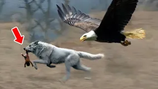 Wolf Want to Stole the Baby, But the Eagle Did Something Amazing!