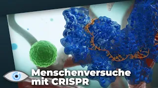 Wurden in den USA Menschenversuche mit der Genschere CRISPR gemacht?