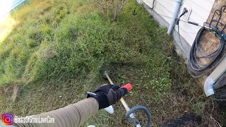 Overgrown Tall Grass Cleanup with the Husqvarna 325iLK battery trimmer