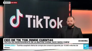 CEO de TikTok advierte que prohibir la aplicación afectaría a muchos negocios en EE. UU.