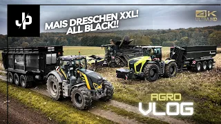 Körnermais XXL bei M&H Agrar! Fendt und Xerion im Einsatz! || JP Agrar