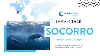 Socorro Travel Talk // A Dive and Travel Webinar