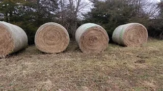 Greg Judy details simple steps for healing an overgrazed farm.