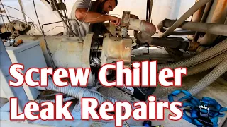 Major Chiller Leak Repairs On Screw Compressor Trane Air Cooled Chiller