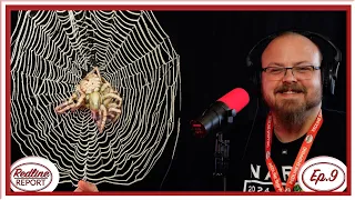 How Spider Shoppe became #1 in Invertebrates