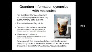 Timur Tscherbul: JQI-QuICS Special Seminar