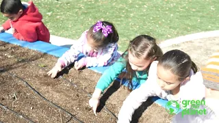 Let's Plant a Seed (Grade 1, Lesson 7 from the Green Our Planet Curriculum)