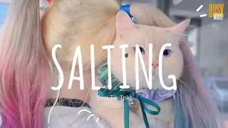 Salting (remix cute) - DJ Topeng // Dusk Music x Dangling  (Video Lyrics) Tik Tok Song