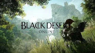 Гайд по инкрустации Black Desert. Актуально.