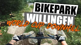 Bikepark Willingen Besuch nach 3 Monaten -  World Cup Downhill line, Flow Country, Enduro Trail