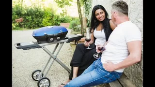 TravelQ: The Perfect Portable Grill