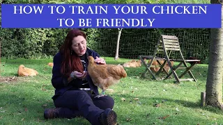 How to Train Your Chicken to be Friendly