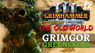 DREADED BELLY FLOP | Old World Mod & SFO - Total War: Warhammer 3 - Greenskins - Grimgor #12