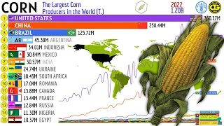 The Largest CORN Producers in the World