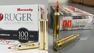 204 Ruger vs 22-250 Remington