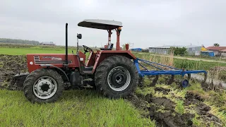 Tümosan Tarlayı Özlemiş / Yeni Pulluk ile Çeltik Tarlasını Sürüyorum