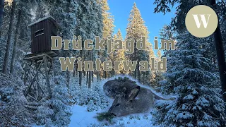 Drückjagd 2024 | Winterwald im Erzgebirge | 4K