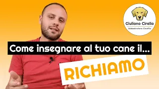 🐶 Come Insegnare il Richiamo al Cane - I 3 Errori da NON Fare | Giuliano Addestratore