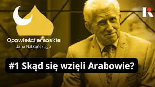 Raport - opowieści arabskie Jana Natkańskiego S01E01