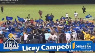 Licey campeón 2016-2017! Tigres consiguen corona 22