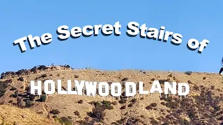 The Secret Stairs of Hollywoodland