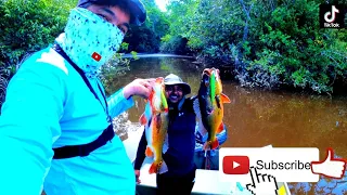 #Fishing the #1 #GameFish in #Guyana #Essequibo #River #Peacock #Bass