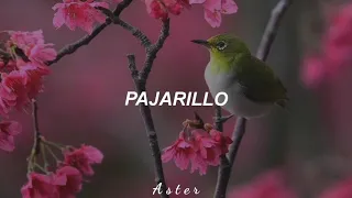 Pajarillo - José María Napoleón, Luis Humberto Navejas (Letra)