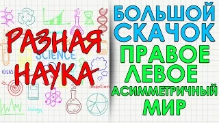 Большой скачок. Правое и левое. Асимметричный мир