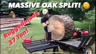 Massive log split on a Ruggedmade 37 ton wood splitter!