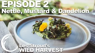 Wild Harvest | Season 2 | Episode 2 | Nettle, Mustard & Dandelion